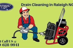 Top Certified Disaster Cleaning Pros in Raleigh NC Disaster Information Hub – Latest Natural Disaster News & Emergency Resources Top Certified Disaster Cleaning Pros in Raleigh NC | Disaster Information Hub – Latest Natural Disaster News & Emergency Resources