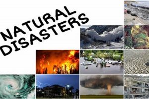 Effective Natural Disaster Management & Strategies Disaster Information Hub – Latest Natural Disaster News & Emergency Resources Effective Natural Disaster Management & Strategies | Disaster Information Hub – Latest Natural Disaster News & Emergency Resources