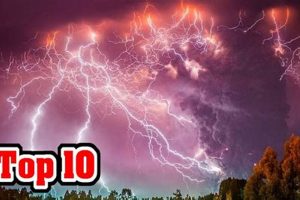 Strange & Unusual Natural Disasters: A Guide Disaster Information Hub – Latest Natural Disaster News & Emergency Resources Strange & Unusual Natural Disasters: A Guide | Disaster Information Hub – Latest Natural Disaster News & Emergency Resources