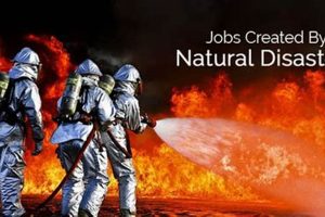 Top Natural Disaster Relief Jobs & Careers Disaster Information Hub – Latest Natural Disaster News & Emergency Resources Top Natural Disaster Relief Jobs & Careers | Disaster Information Hub – Latest Natural Disaster News & Emergency Resources