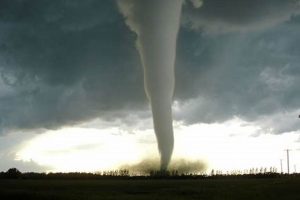 Dallas Natural Disaster Guide & Prep Tips Disaster Information Hub – Latest Natural Disaster News & Emergency Resources Dallas Natural Disaster Guide & Prep Tips | Disaster Information Hub – Latest Natural Disaster News & Emergency Resources