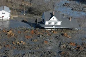Tennessee Disasters: Preparedness & Recovery Disaster Information Hub – Latest Natural Disaster News & Emergency Resources Tennessee Disasters: Preparedness & Recovery | Disaster Information Hub – Latest Natural Disaster News & Emergency Resources