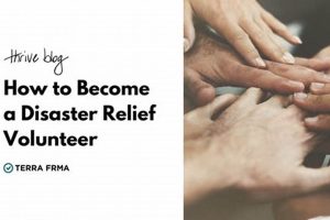 Become a Disaster Relief Volunteer: A Guide Disaster Information Hub – Latest Natural Disaster News & Emergency Resources Become a Disaster Relief Volunteer: A Guide | Disaster Information Hub – Latest Natural Disaster News & Emergency Resources