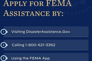 Hurricane Milton: Disaster Declaration Date & Aid Disaster Information Hub – Latest Natural Disaster News & Emergency Resources Hurricane Milton: Disaster Declaration Date & Aid | Disaster Information Hub – Latest Natural Disaster News & Emergency Resources