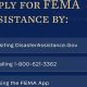 Hurricane Milton: Disaster Declaration Date &amp; Aid | Disaster Information Hub – Latest Natural Disaster News & Emergency Resources