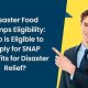 Applying for Disaster Food Stamps: A Guide | Disaster Information Hub – Latest Natural Disaster News & Emergency Resources