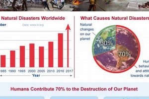 Understanding Natural Disaster Causes & Effects Disaster Information Hub – Latest Natural Disaster News & Emergency Resources Understanding Natural Disaster Causes & Effects | Disaster Information Hub – Latest Natural Disaster News & Emergency Resources