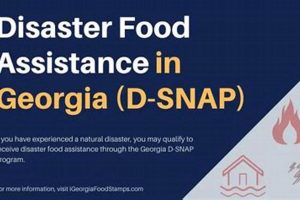 GA Disaster Food Stamps: Get Help Now Disaster Information Hub – Latest Natural Disaster News & Emergency Resources GA Disaster Food Stamps: Get Help Now | Disaster Information Hub – Latest Natural Disaster News & Emergency Resources