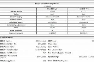 Home Healthcare Disaster Codes: Oasis Kinnser Guide Disaster Information Hub – Latest Natural Disaster News & Emergency Resources Home Healthcare Disaster Codes: Oasis Kinnser Guide | Disaster Information Hub – Latest Natural Disaster News & Emergency Resources