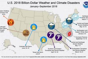 2024 US Natural Disasters: A Year in Review Disaster Information Hub – Latest Natural Disaster News & Emergency Resources 2024 US Natural Disasters: A Year in Review | Disaster Information Hub – Latest Natural Disaster News & Emergency Resources