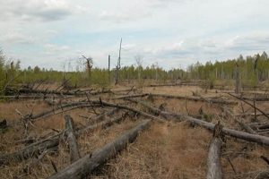 Chernobyl's Devastating Environmental Impact & Legacy Disaster Information Hub – Latest Natural Disaster News & Emergency Resources Chernobyl's Devastating Environmental Impact & Legacy | Disaster Information Hub – Latest Natural Disaster News & Emergency Resources