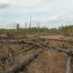 Chernobyl's Devastating Environmental Impact & Legacy | Disaster Information Hub – Latest Natural Disaster News & Emergency Resources