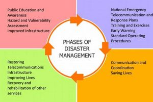 Test Your Disaster Response Knowledge: Spot the Non-Stage Disaster Information Hub – Latest Natural Disaster News & Emergency Resources Test Your Disaster Response Knowledge: Spot the Non-Stage | Disaster Information Hub – Latest Natural Disaster News & Emergency Resources