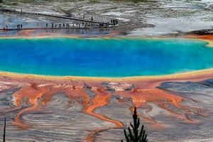 Yellowstone Park Disaster: A Looming Threat? Disaster Information Hub – Latest Natural Disaster News & Emergency Resources Yellowstone Park Disaster: A Looming Threat? | Disaster Information Hub – Latest Natural Disaster News & Emergency Resources