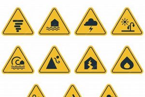 Decoding Disaster Symbols: A Visual Guide Disaster Information Hub – Latest Natural Disaster News & Emergency Resources Decoding Disaster Symbols: A Visual Guide | Disaster Information Hub – Latest Natural Disaster News & Emergency Resources