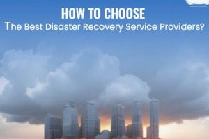 Top Disaster Recovery Service Providers & Solutions Disaster Information Hub – Latest Natural Disaster News & Emergency Resources Top Disaster Recovery Service Providers & Solutions | Disaster Information Hub – Latest Natural Disaster News & Emergency Resources