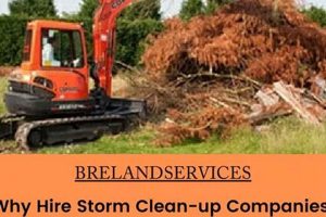 Top Disaster Clean Up Companies & Services Disaster Information Hub – Latest Natural Disaster News & Emergency Resources Top Disaster Clean Up Companies & Services | Disaster Information Hub – Latest Natural Disaster News & Emergency Resources