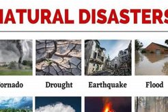 Top Natural Disasters (2014-2023): A Decade of Impact Disaster Information Hub – Latest Natural Disaster News & Emergency Resources Top Natural Disasters (2014-2023): A Decade of Impact | Disaster Information Hub – Latest Natural Disaster News & Emergency Resources