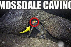 Preventing Caving Disasters: Essential Safety Guide Disaster Information Hub – Latest Natural Disaster News & Emergency Resources Preventing Caving Disasters: Essential Safety Guide | Disaster Information Hub – Latest Natural Disaster News & Emergency Resources