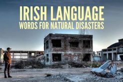 Ireland's Natural Disasters: A Guide Disaster Information Hub – Latest Natural Disaster News & Emergency Resources Ireland's Natural Disasters: A Guide | Disaster Information Hub – Latest Natural Disaster News & Emergency Resources