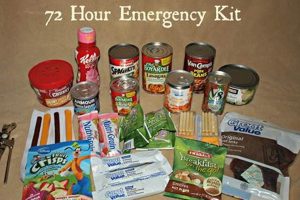 The Ultimate 72-Hour Disaster Kit Checklist Disaster Information Hub – Latest Natural Disaster News & Emergency Resources The Ultimate 72-Hour Disaster Kit Checklist | Disaster Information Hub – Latest Natural Disaster News & Emergency Resources