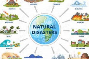 Kids' Natural Disaster Cartoon: Prep Guide Disaster Information Hub – Latest Natural Disaster News & Emergency Resources Kids' Natural Disaster Cartoon: Prep Guide | Disaster Information Hub – Latest Natural Disaster News & Emergency Resources