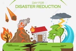 Understanding Disaster Reduction & Mitigation Disaster Information Hub – Latest Natural Disaster News & Emergency Resources Understanding Disaster Reduction & Mitigation | Disaster Information Hub – Latest Natural Disaster News & Emergency Resources