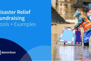 Effective Disaster Relief Fundraising Strategies Disaster Information Hub – Latest Natural Disaster News & Emergency Resources Effective Disaster Relief Fundraising Strategies | Disaster Information Hub – Latest Natural Disaster News & Emergency Resources