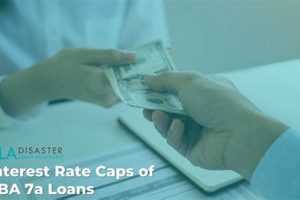 SBA Disaster Loan Interest Rates: Current Rates & Info Disaster Information Hub – Latest Natural Disaster News & Emergency Resources SBA Disaster Loan Interest Rates: Current Rates & Info | Disaster Information Hub – Latest Natural Disaster News & Emergency Resources