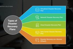 5 Disaster Recovery Plan Types to Consider Disaster Information Hub – Latest Natural Disaster News & Emergency Resources 5 Disaster Recovery Plan Types to Consider | Disaster Information Hub – Latest Natural Disaster News & Emergency Resources