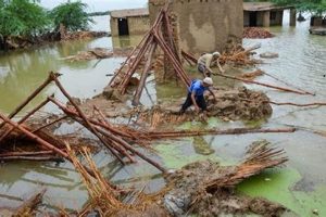 A Disaster Piece: Art of Calamity | Disaster Information Hub – Latest Natural Disaster News & Emergency Resources