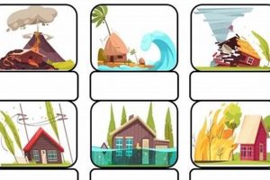 Efficient Disaster Distributions: Aid & Logistics Disaster Information Hub – Latest Natural Disaster News & Emergency Resources Efficient Disaster Distributions: Aid & Logistics | Disaster Information Hub – Latest Natural Disaster News & Emergency Resources