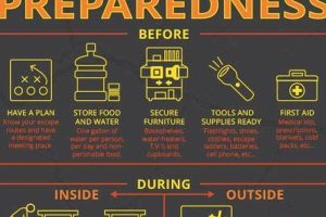 Ultimate Earthquake & Disaster Preparedness Guide Disaster Information Hub – Latest Natural Disaster News & Emergency Resources Ultimate Earthquake & Disaster Preparedness Guide | Disaster Information Hub – Latest Natural Disaster News & Emergency Resources