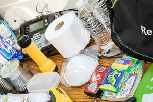 Build Your Ready.gov Disaster Kit Now Disaster Information Hub – Latest Natural Disaster News & Emergency Resources Build Your Ready.gov Disaster Kit Now | Disaster Information Hub – Latest Natural Disaster News & Emergency Resources