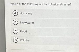 Hydrological Disasters: Types & Examples Disaster Information Hub – Latest Natural Disaster News & Emergency Resources Hydrological Disasters: Types & Examples | Disaster Information Hub – Latest Natural Disaster News & Emergency Resources