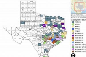 Texas Disaster Areas 2024: Counties Declared Disaster Information Hub – Latest Natural Disaster News & Emergency Resources Texas Disaster Areas 2024: Counties Declared | Disaster Information Hub – Latest Natural Disaster News & Emergency Resources