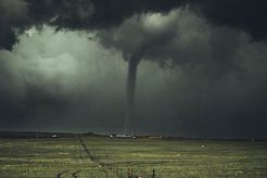 NC Natural Disaster Guide & Preparedness Disaster Information Hub – Latest Natural Disaster News & Emergency Resources NC Natural Disaster Guide & Preparedness | Disaster Information Hub – Latest Natural Disaster News & Emergency Resources