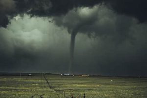 NC Natural Disaster Guide & Preparedness Disaster Information Hub – Latest Natural Disaster News & Emergency Resources NC Natural Disaster Guide & Preparedness | Disaster Information Hub – Latest Natural Disaster News & Emergency Resources