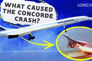 The Concorde Air Disaster: Tragedy & Legacy Disaster Information Hub – Latest Natural Disaster News & Emergency Resources The Concorde Air Disaster: Tragedy & Legacy | Disaster Information Hub – Latest Natural Disaster News & Emergency Resources