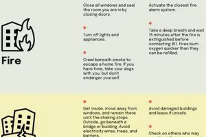 Best Disaster Plan Examples & Templates [Free Download] | Disaster Information Hub – Latest Natural Disaster News & Emergency Resources