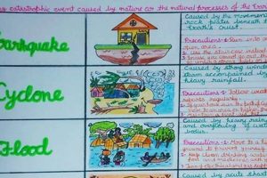 Best Natural Disaster Project Ideas & Examples Disaster Information Hub – Latest Natural Disaster News & Emergency Resources Best Natural Disaster Project Ideas & Examples | Disaster Information Hub – Latest Natural Disaster News & Emergency Resources