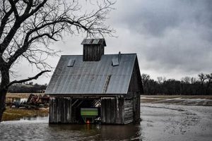 Essential Guide to Farm Disaster Aid Programs Disaster Information Hub – Latest Natural Disaster News & Emergency Resources Essential Guide to Farm Disaster Aid Programs | Disaster Information Hub – Latest Natural Disaster News & Emergency Resources