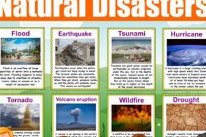Shocking Natural Disaster Facts: Trivia & More Disaster Information Hub – Latest Natural Disaster News & Emergency Resources Shocking Natural Disaster Facts: Trivia & More | Disaster Information Hub – Latest Natural Disaster News & Emergency Resources