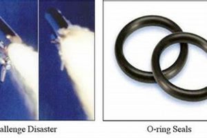Challenger Disaster: The O-Ring Failure Analysis Disaster Information Hub – Latest Natural Disaster News & Emergency Resources Challenger Disaster: The O-Ring Failure Analysis | Disaster Information Hub – Latest Natural Disaster News & Emergency Resources