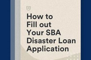 Apply for SBA Disaster Loan Assistance Now Disaster Information Hub – Latest Natural Disaster News & Emergency Resources Apply for SBA Disaster Loan Assistance Now | Disaster Information Hub – Latest Natural Disaster News & Emergency Resources