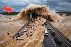 Unveiling Earth's Rarest Natural Disasters: A Deep Dive Disaster Information Hub – Latest Natural Disaster News & Emergency Resources Unveiling Earth's Rarest Natural Disasters: A Deep Dive | Disaster Information Hub – Latest Natural Disaster News & Emergency Resources
