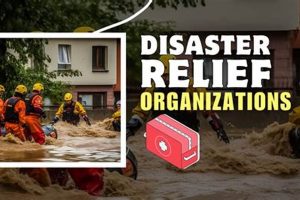Top Disaster Relief Organizations List & Contacts | Disaster Information Hub – Latest Natural Disaster News & Emergency Resources