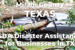 Texas Disaster Loan Relief: SBA & Other Programs Disaster Information Hub – Latest Natural Disaster News & Emergency Resources Texas Disaster Loan Relief: SBA & Other Programs | Disaster Information Hub – Latest Natural Disaster News & Emergency Resources