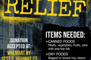 Disaster Relief Flyer Templates & Examples Disaster Information Hub – Latest Natural Disaster News & Emergency Resources Disaster Relief Flyer Templates & Examples | Disaster Information Hub – Latest Natural Disaster News & Emergency Resources