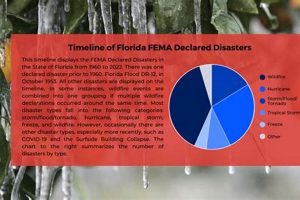 Florida Disaster Declarations: A Guide Disaster Information Hub – Latest Natural Disaster News & Emergency Resources Florida Disaster Declarations: A Guide | Disaster Information Hub – Latest Natural Disaster News & Emergency Resources